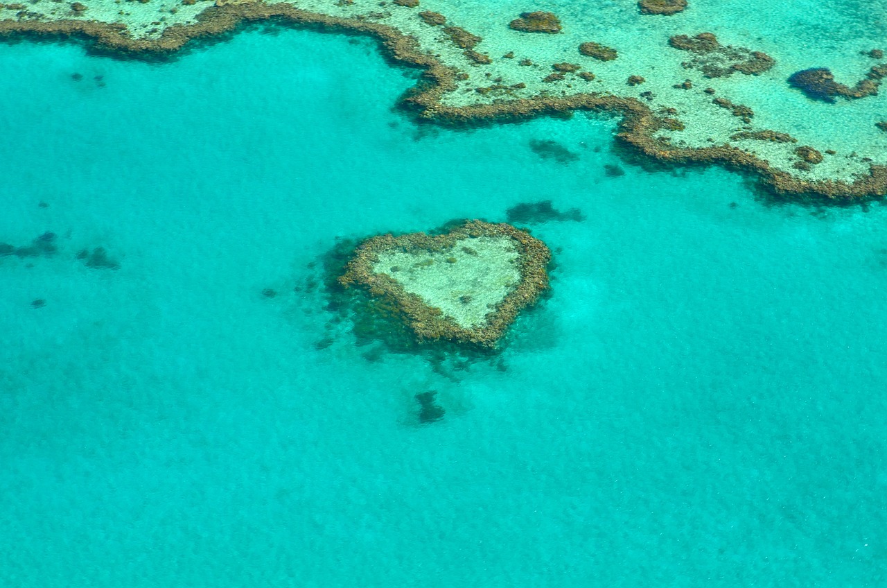 Eco-Friendly Tips for Visiting the Great Barrier Reef